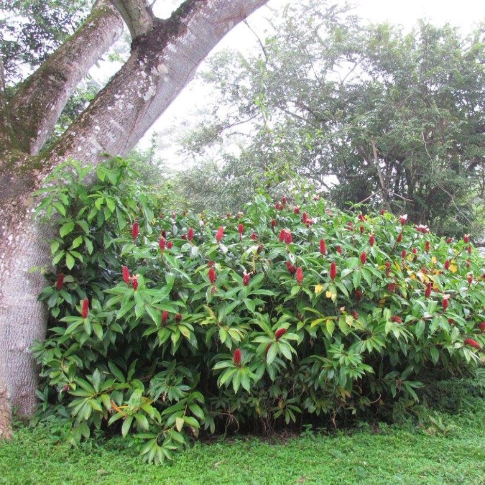 Meet your Posher, Nori